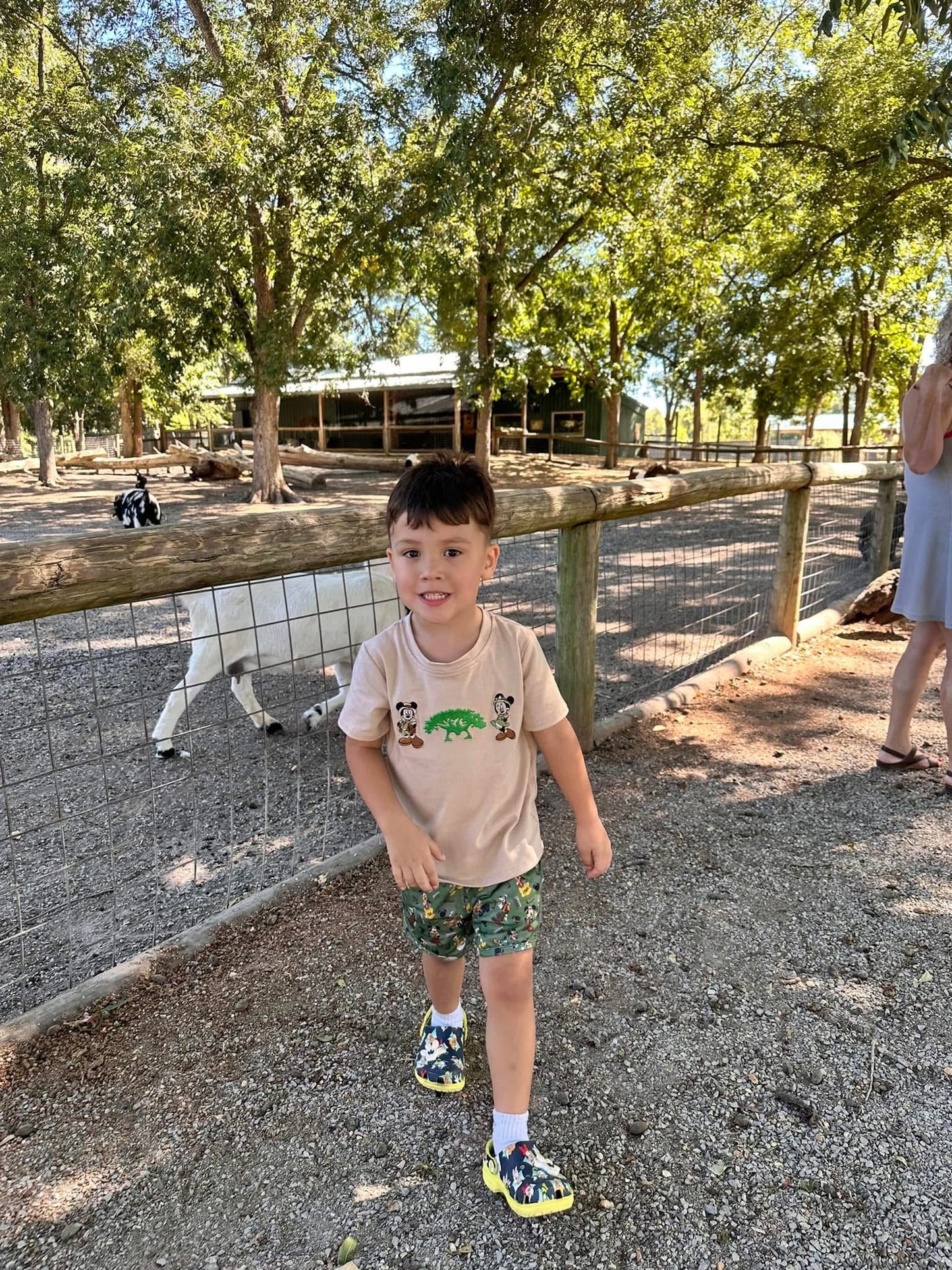 Safari sets